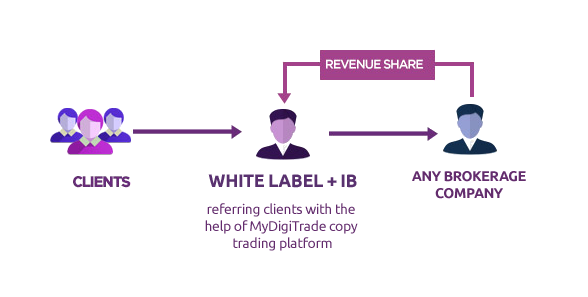 Become white label forex broker