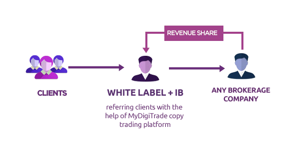 white label model